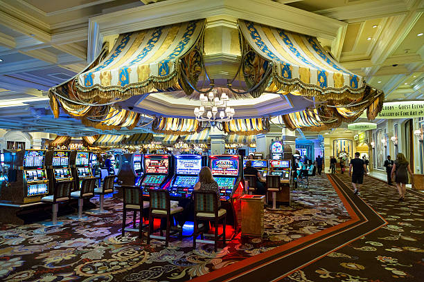 Live dealer game interface showing Dragon Tiger and player controls